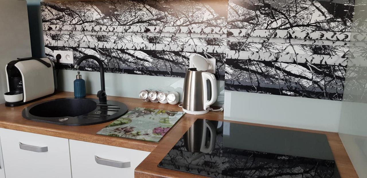 Apartament Centrum 쳉스토호바 외부 사진